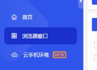 协同增效：代理IP与指纹浏览器在业务实践中的应用