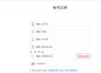 优享云SK5万安加速器SK5万安IP老鱼ip天翼云IP自助购买教程