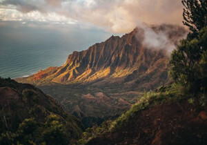 静态住宅IP从哪里来？揭秘4大核心来源与技术逻辑