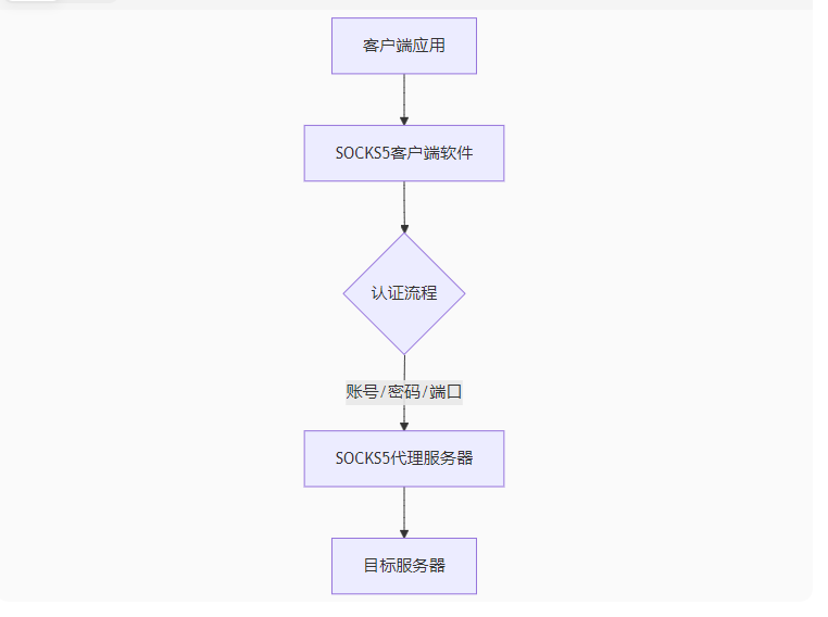 2025最佳SOCKS5代理软件评测：游戏多开/防封IP首选方案